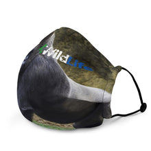 Load image into Gallery viewer, 4Wildlife Silverback Gorilla Premium Face Mask