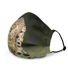 Load image into Gallery viewer, 4Wildlife Cheetah Premium Face Mask