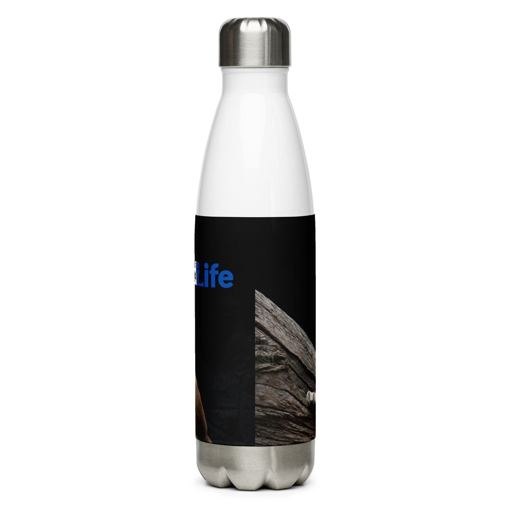 4Wildlife Lion Stainless Steel Water Bottle
